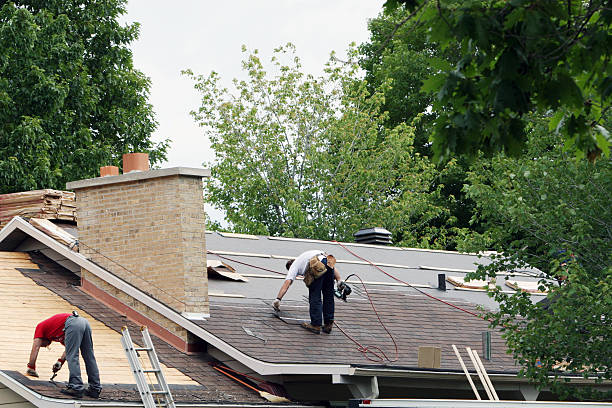 Best Shingle Roofing Installation  in Gibraltar, MI
