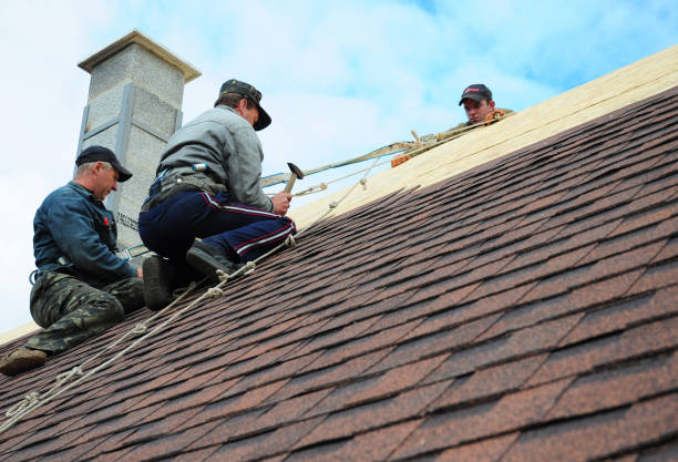 Best Commercial Roofing Services  in Gibraltar, MI